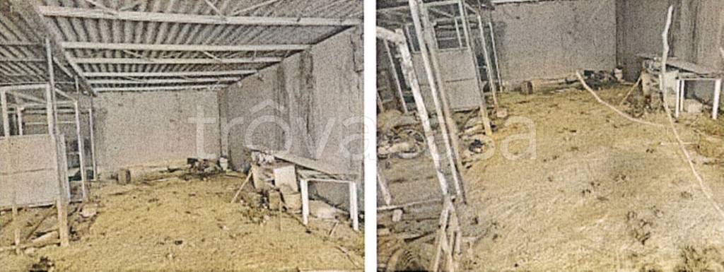 immagine annuncio 12 di 14