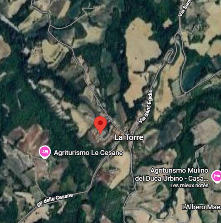 immagine annuncio 2 di 11