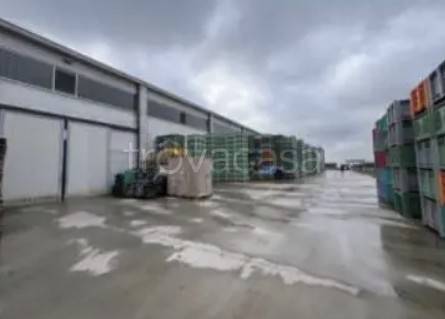 immagine annuncio 2 di 12