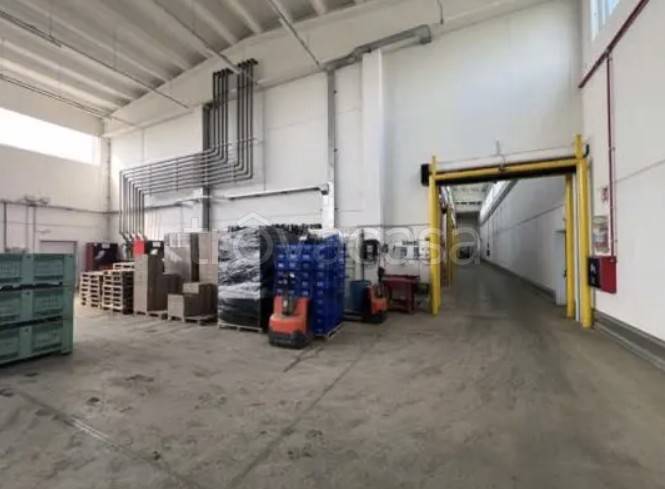 immagine annuncio 5 di 12