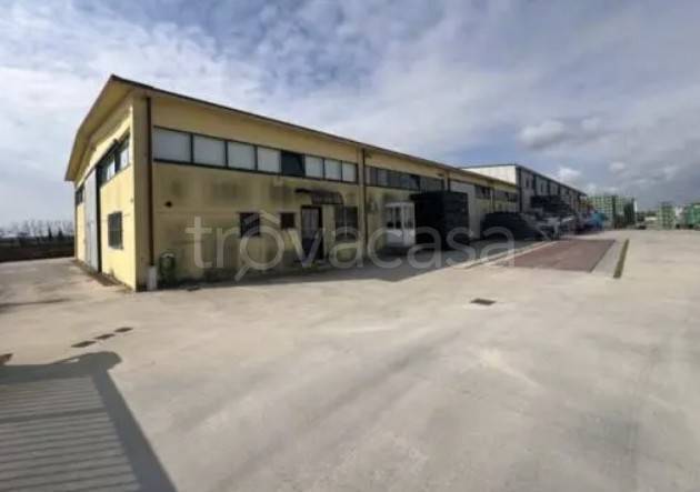 immagine annuncio 6 di 12