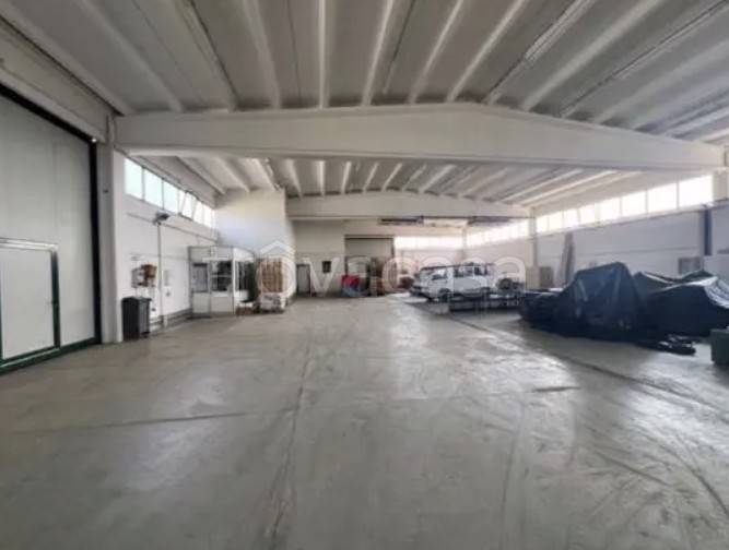 immagine annuncio 7 di 12