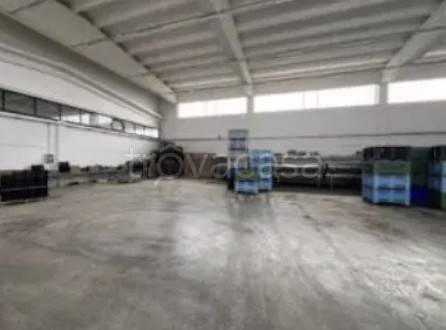 immagine annuncio 9 di 12