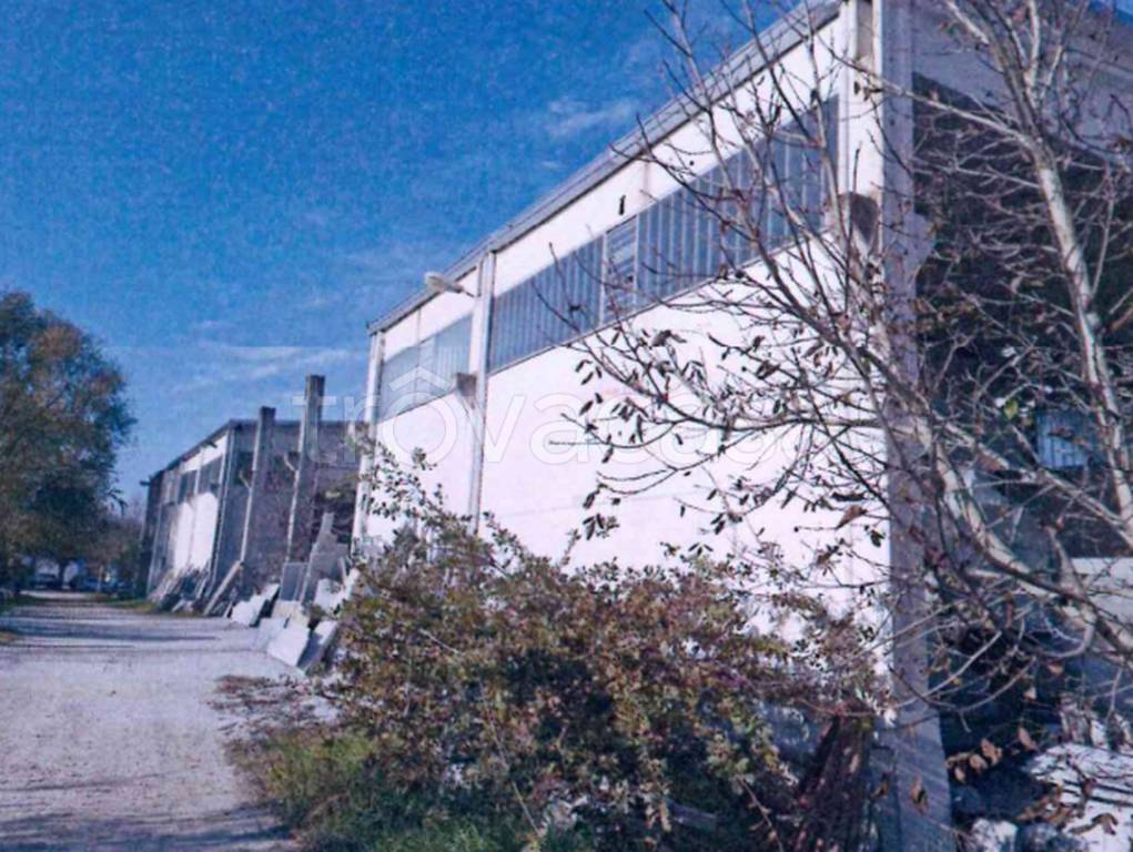 immagine annuncio 9 di 11