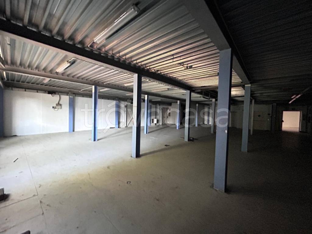 immagine annuncio 5 di 14