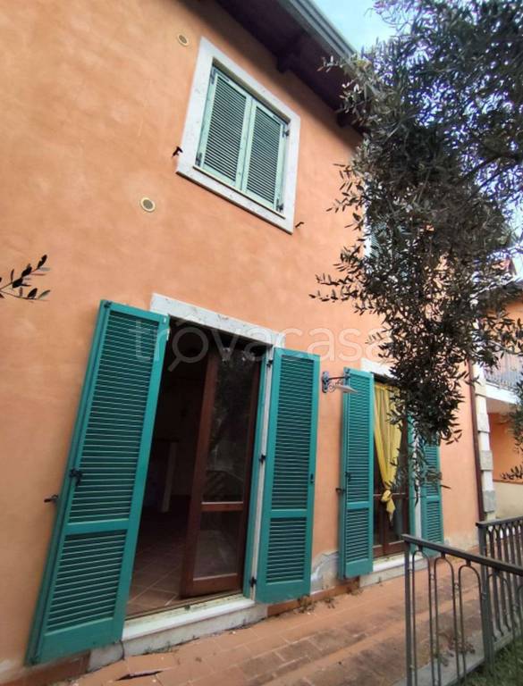 immagine annuncio 11 di 12