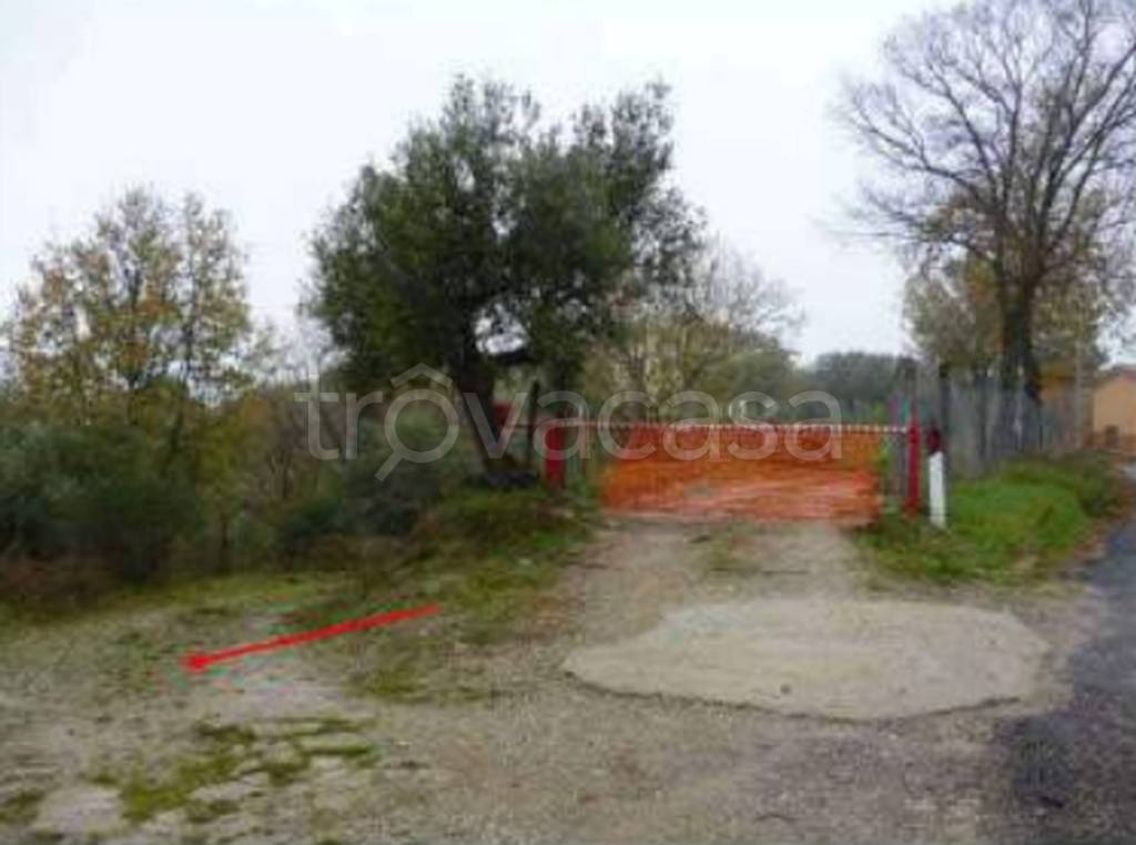 immagine annuncio 4 di 11