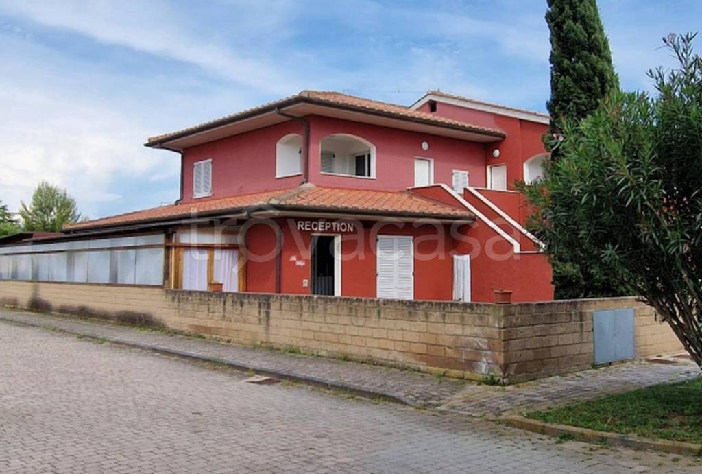 immagine annuncio 6 di 11