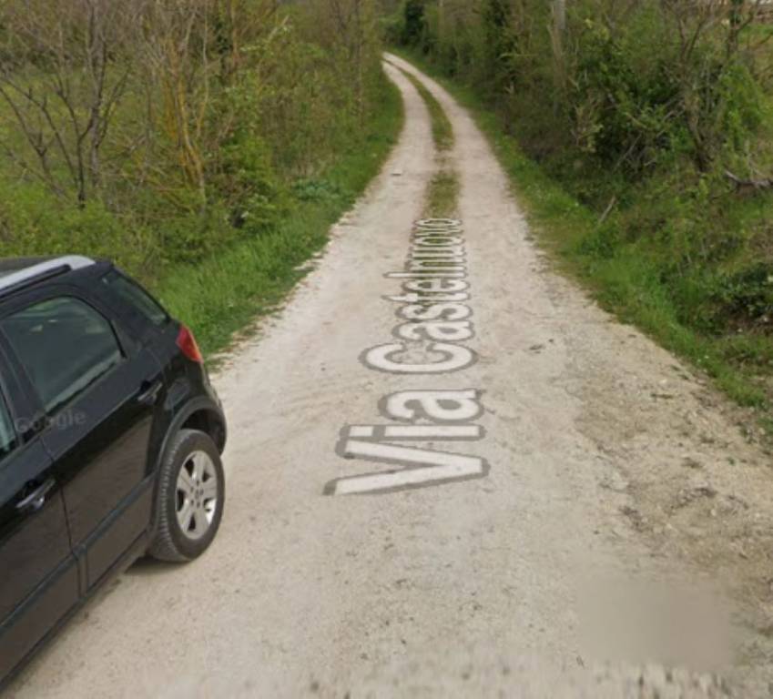 immagine annuncio 1 di 12