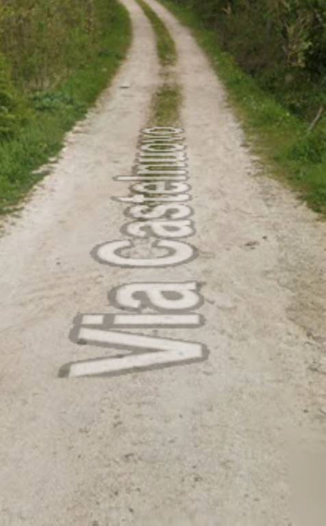 immagine annuncio 3 di 12