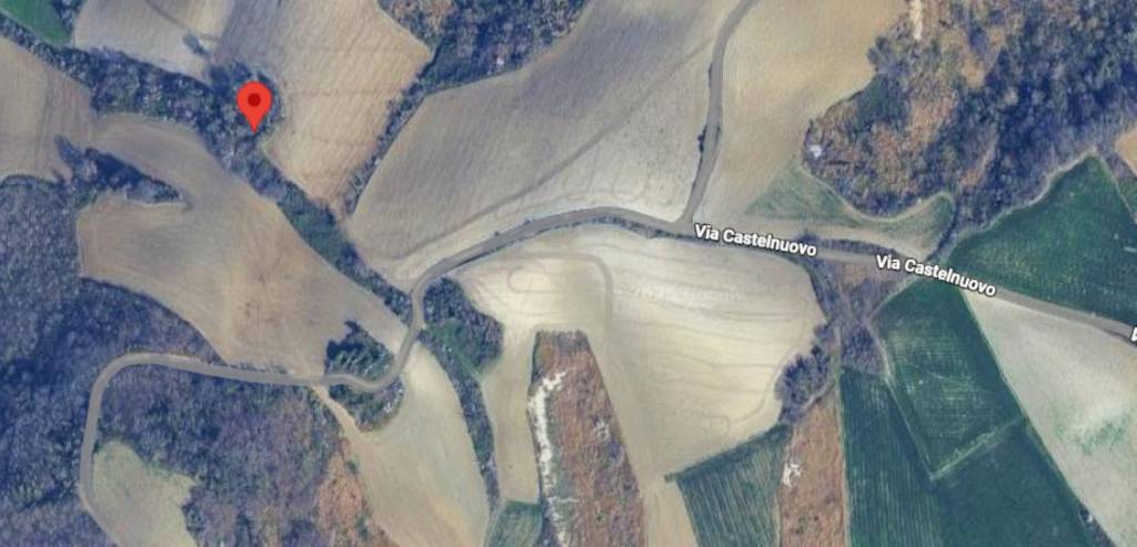 immagine annuncio 6 di 12