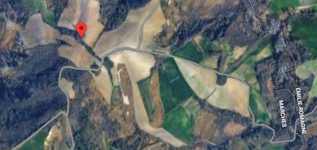 immagine annuncio 9 di 12