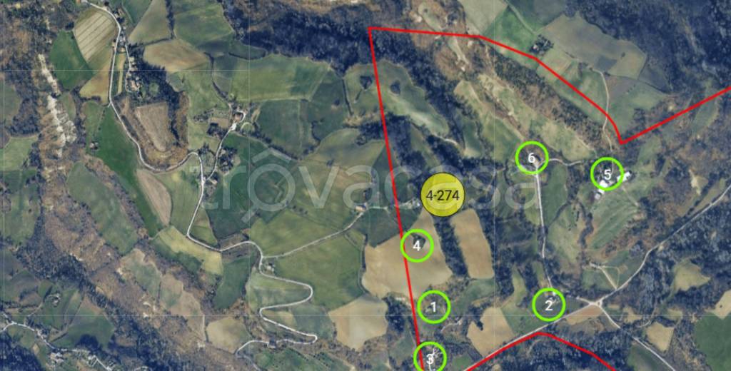 immagine annuncio 6 di 10