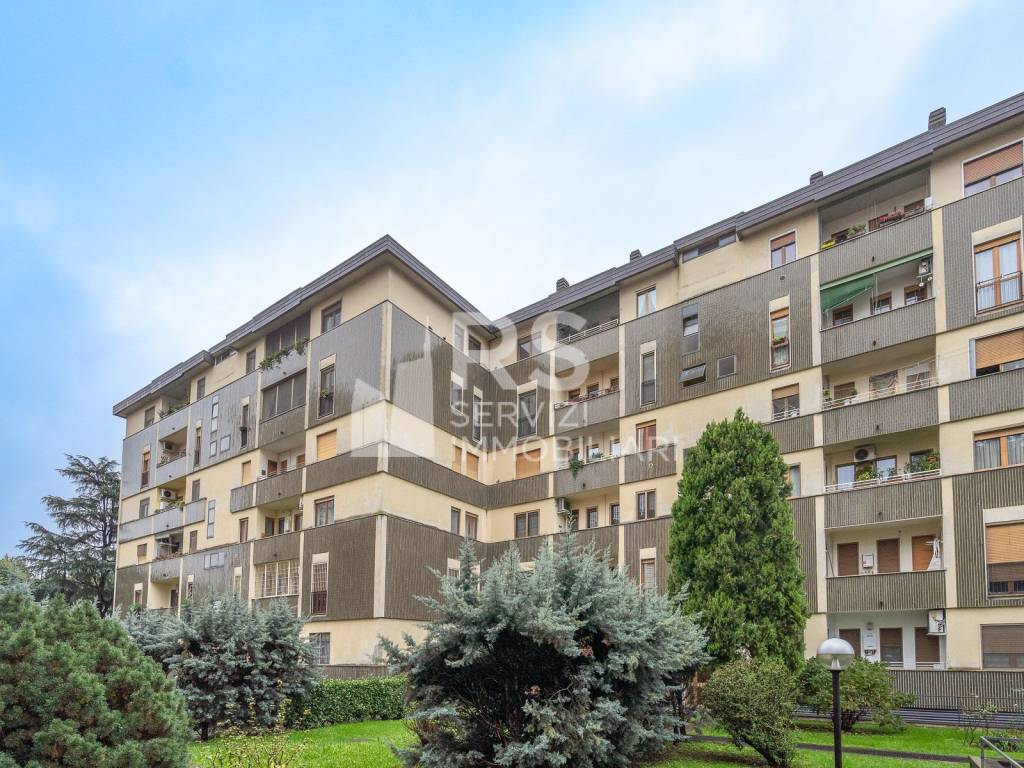 immagine annuncio 13 di 15