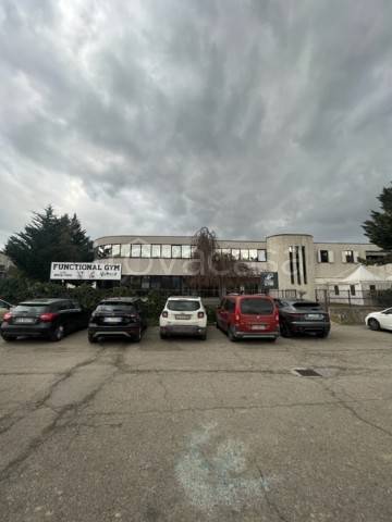 immagine annuncio 1 di 9