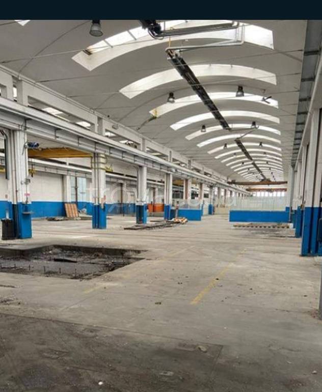 immagine annuncio 5 di 11