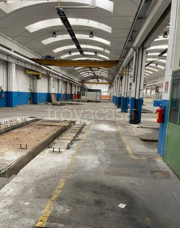 immagine annuncio 6 di 11