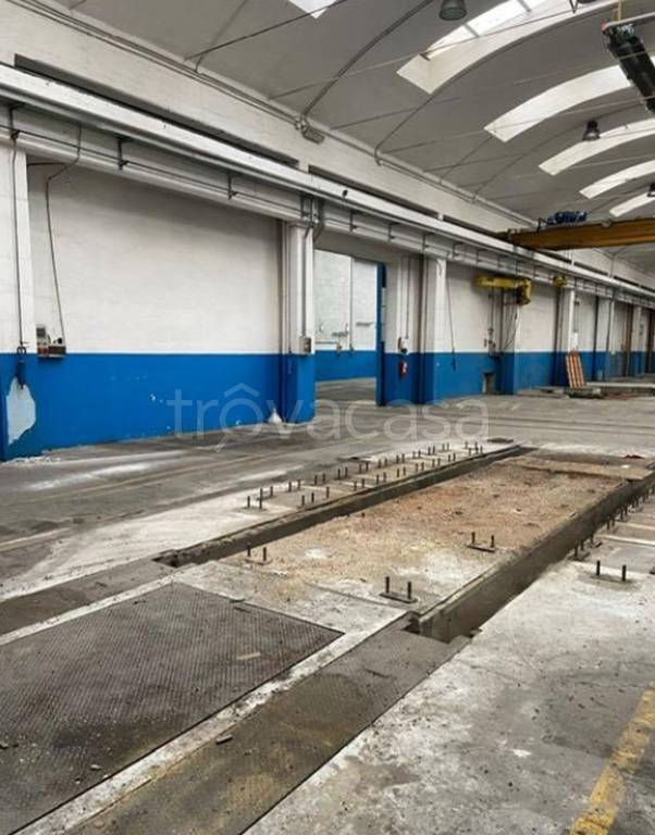 immagine annuncio 7 di 11