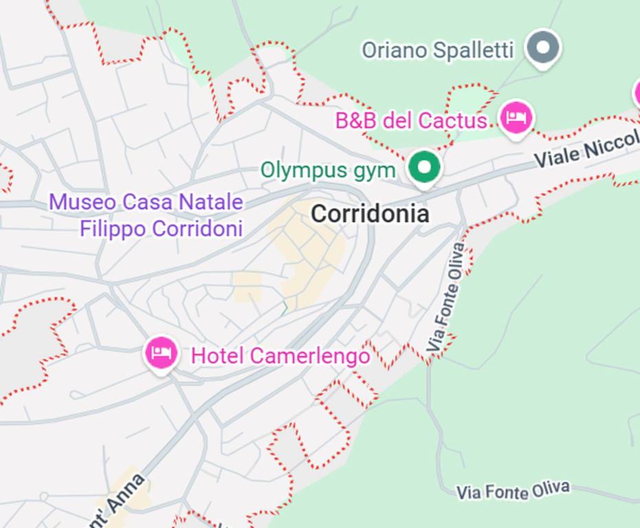 immagine annuncio 5 di 12