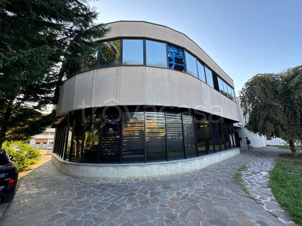 immagine annuncio 2 di 9