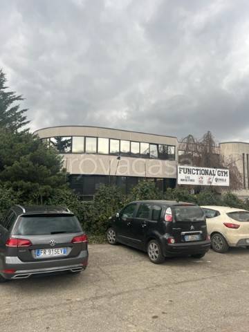 immagine annuncio 6 di 9