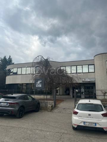 immagine annuncio 8 di 9