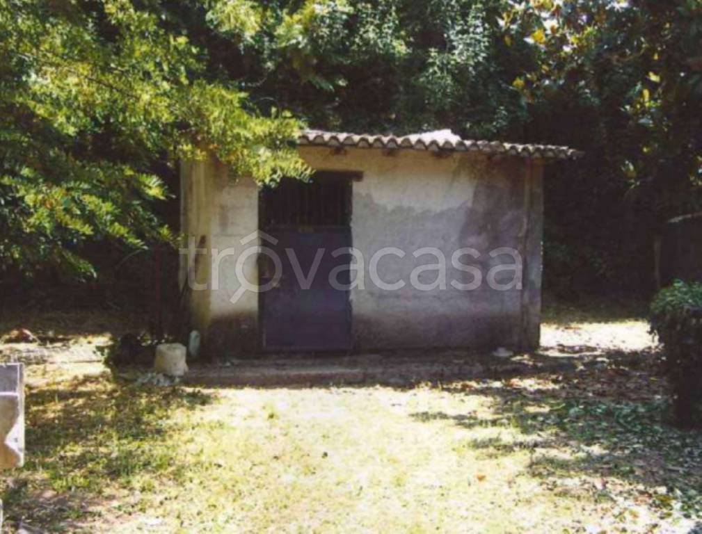 immagine annuncio 11 di 13