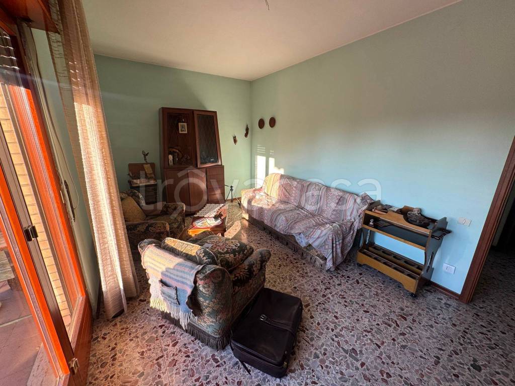 immagine annuncio 3 di 14