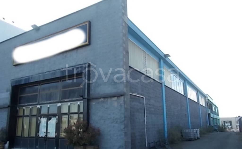 immagine annuncio 6 di 11