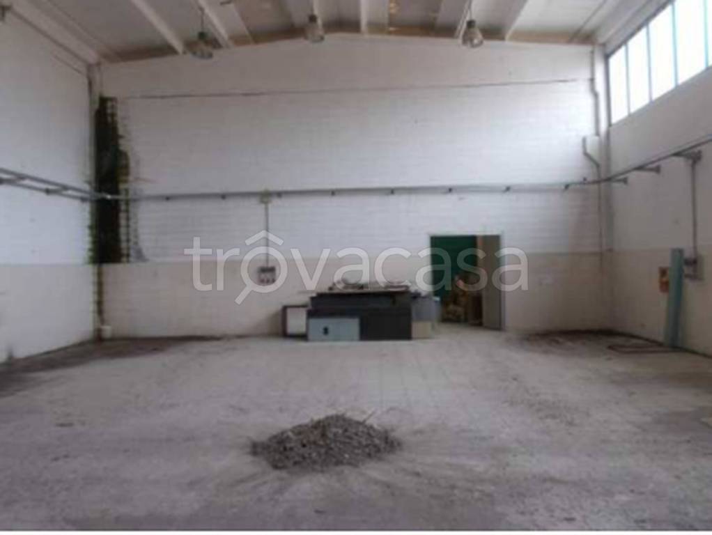 immagine annuncio 7 di 11