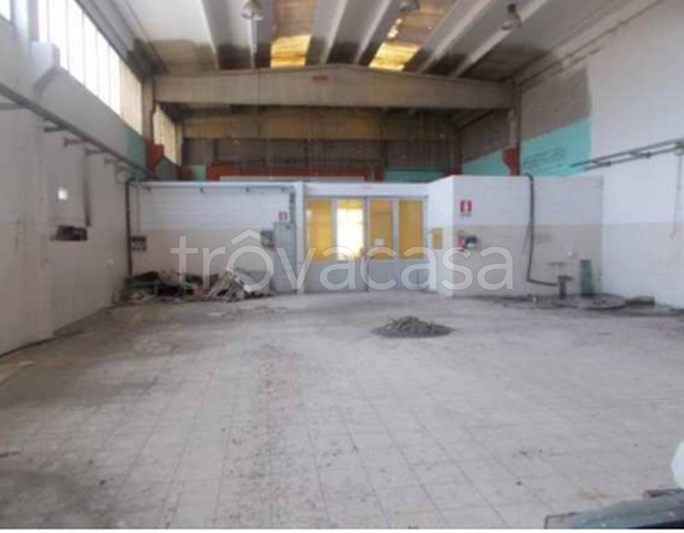 immagine annuncio 9 di 11