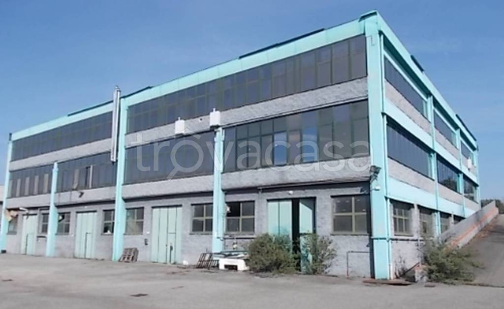 immagine annuncio 10 di 11