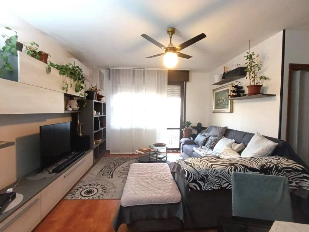 immagine annuncio 2 di 14