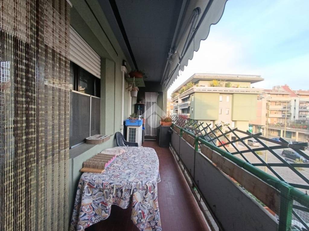 immagine annuncio 6 di 14