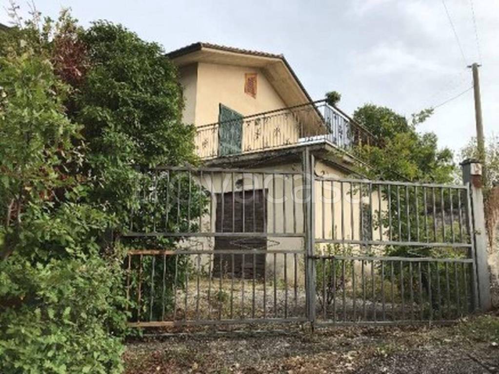 immagine annuncio 2 di 9