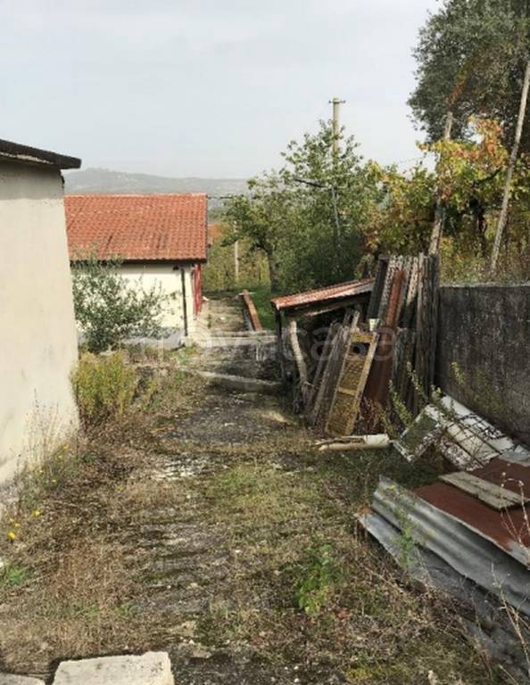 immagine annuncio 4 di 9