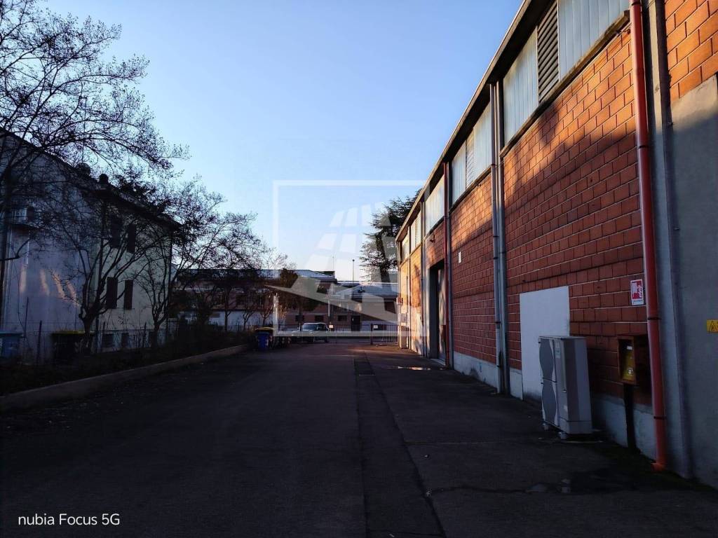 immagine annuncio 9 di 15