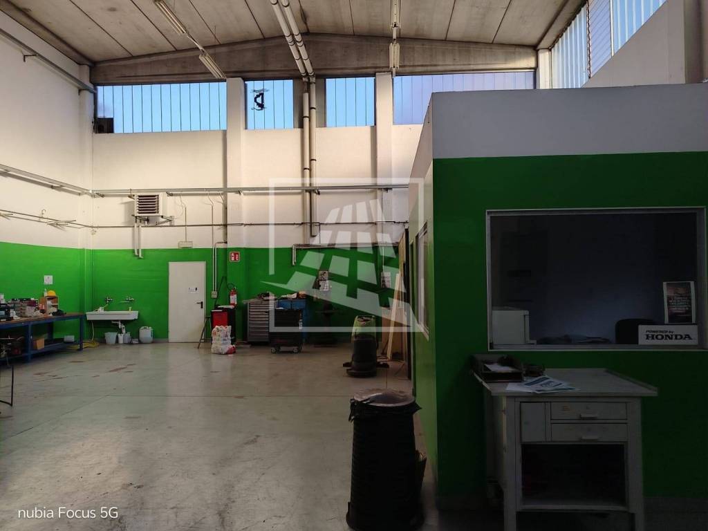 immagine annuncio 12 di 15