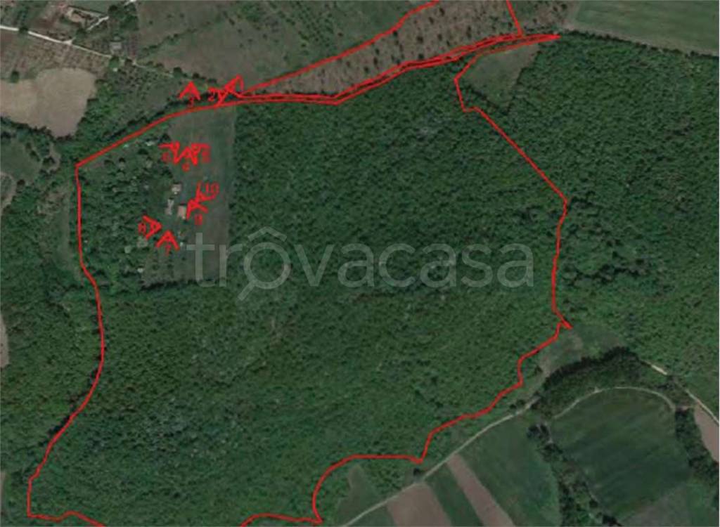 immagine annuncio 1 di 9