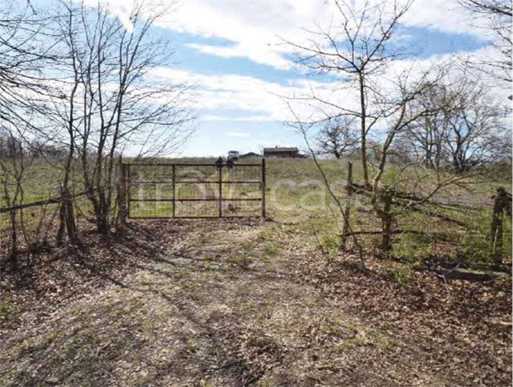 immagine annuncio 4 di 9