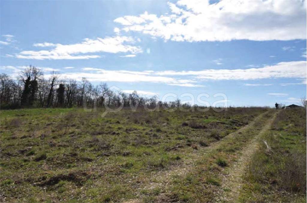 immagine annuncio 5 di 9