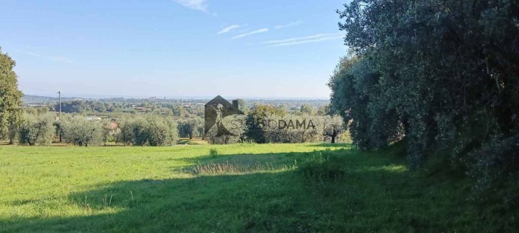 immagine annuncio 1 di 7