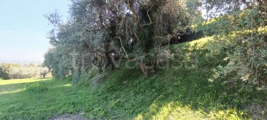 immagine annuncio 6 di 7