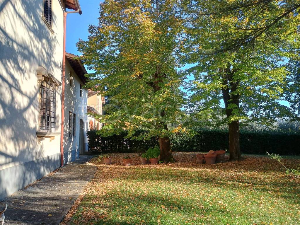 immagine annuncio 2 di 9