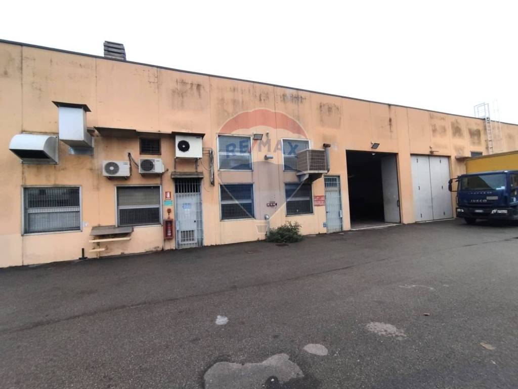 immagine annuncio 5 di 15