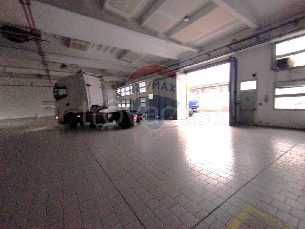 immagine annuncio 8 di 15