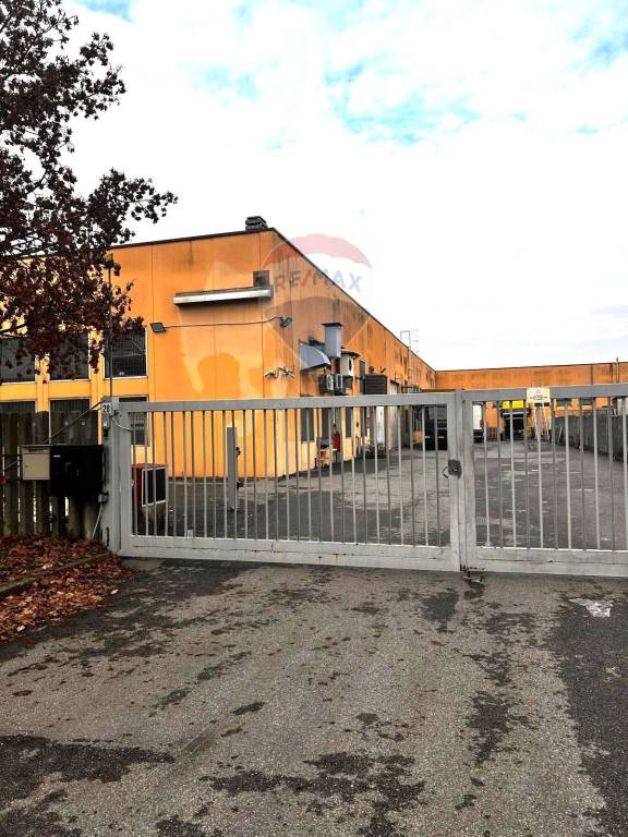 immagine annuncio 10 di 15