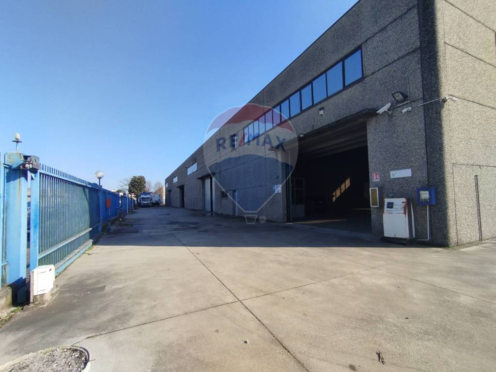 immagine annuncio 3 di 9