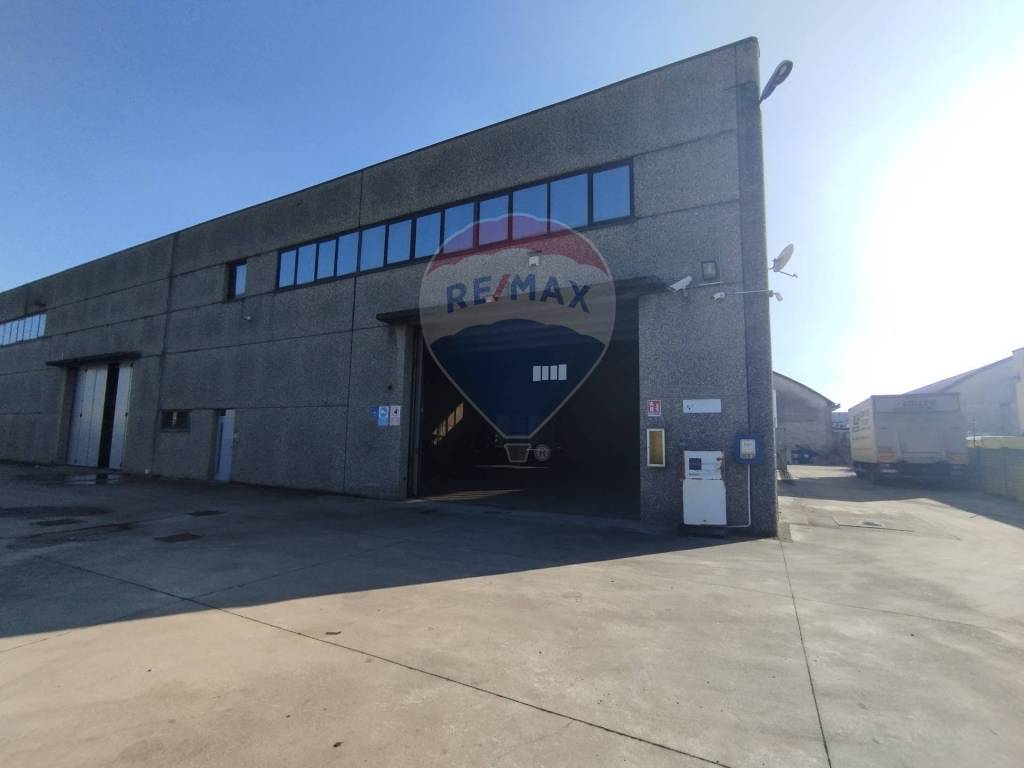 immagine annuncio 5 di 9