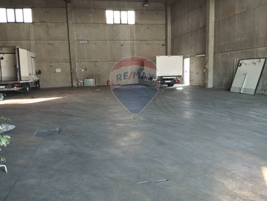 immagine annuncio 7 di 9